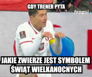 MEMY po meczu Polska - Szwecja