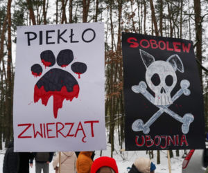 Schronisko dla psów w Sobolewie zamknięte. Jeszcze w sobotę, 24 stycznia, protestowali pod nim mieszkańcy [ZDJĘCIA].