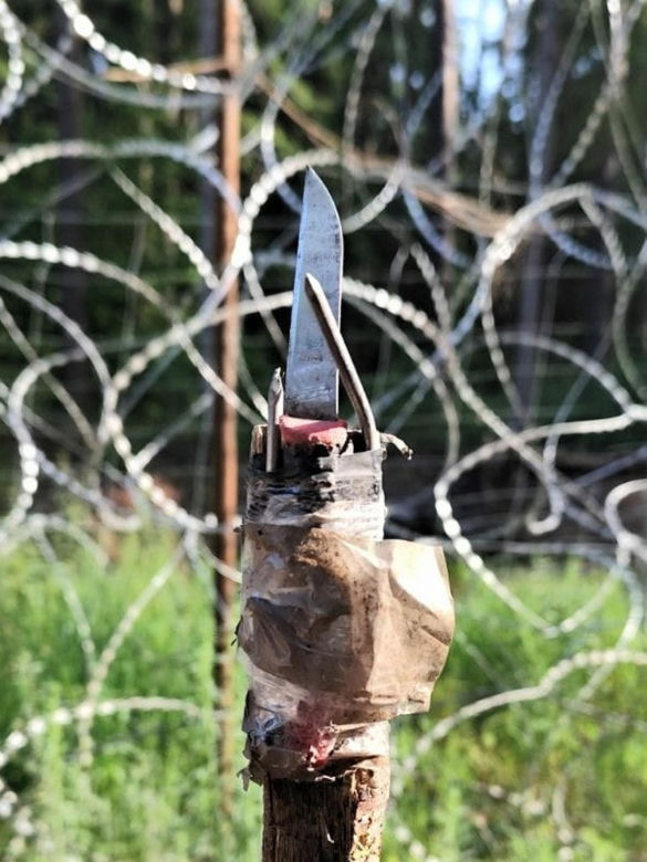 Polski żołnierzy ugodzony nożem. Brutalne starcia z migrantami na granicy polsko-białoruskiej [ZDJĘCIA].