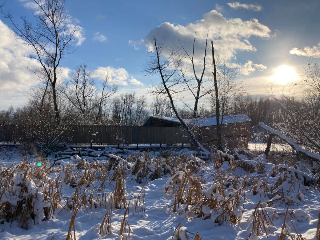 Bobrowisko w zimowej scenerii