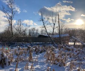 Bobrowisko w zimowej scenerii