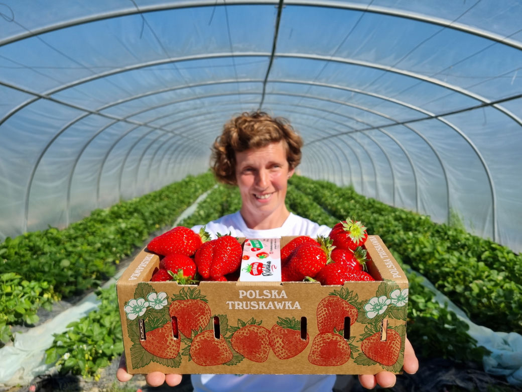 Weronika Maciejczyk, plantatorka truskawek z Jenkowic koło Oleśnicy