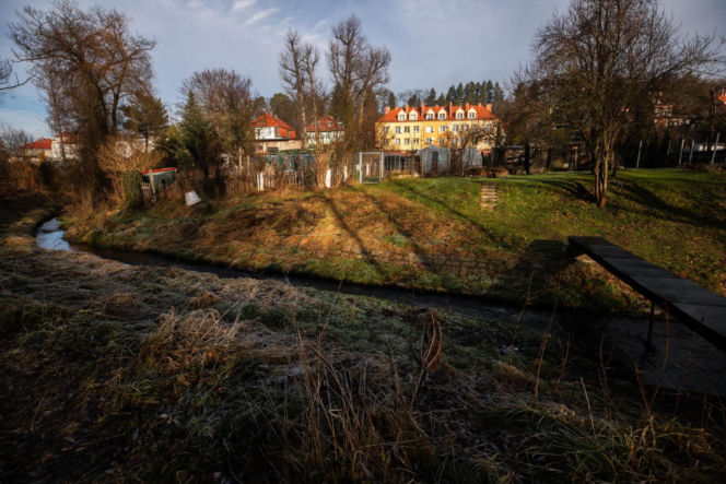 Zabójstwo 11-latki w Jeleniej Górze