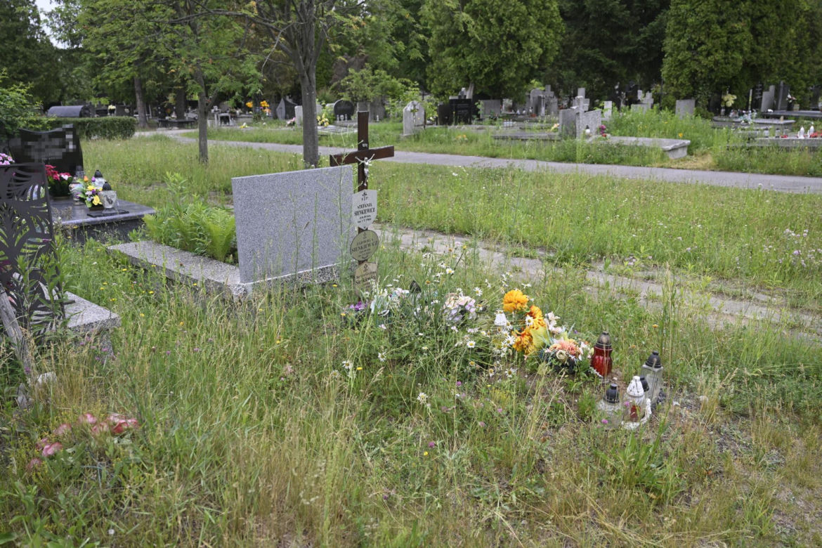 Straszny widok na grobie Barbary Sienkiewicz