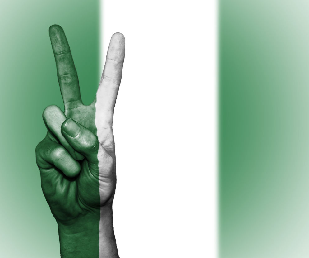 Chciał rządzić Łodzią, startuje na prezydenta Nigerii