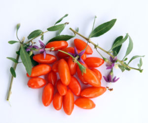 Jagody Goji