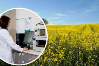 Bionanopark łódzką Doliną Krzemową? Ta nowa technologia uzyskiwania białka z rzepaku ma szansę podbić świat!
