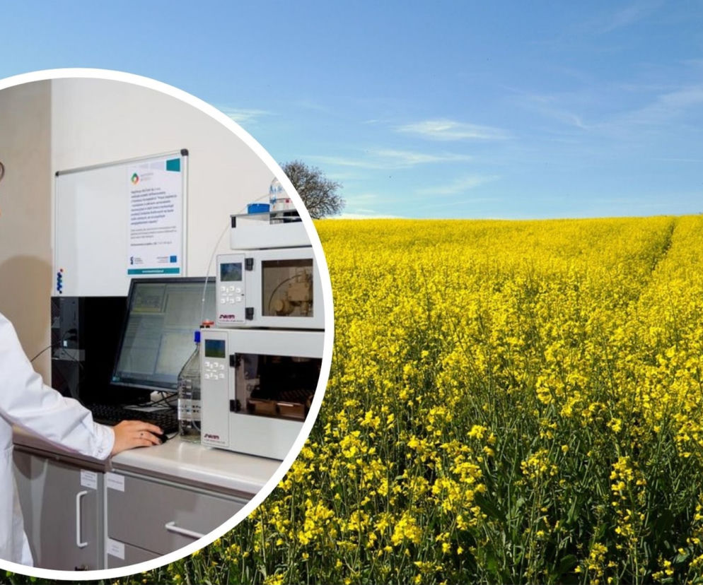 Bionanopark łódzką Doliną Krzemową? Ta nowa technologia uzyskiwania białka z rzepaku ma szansę podbić świat!