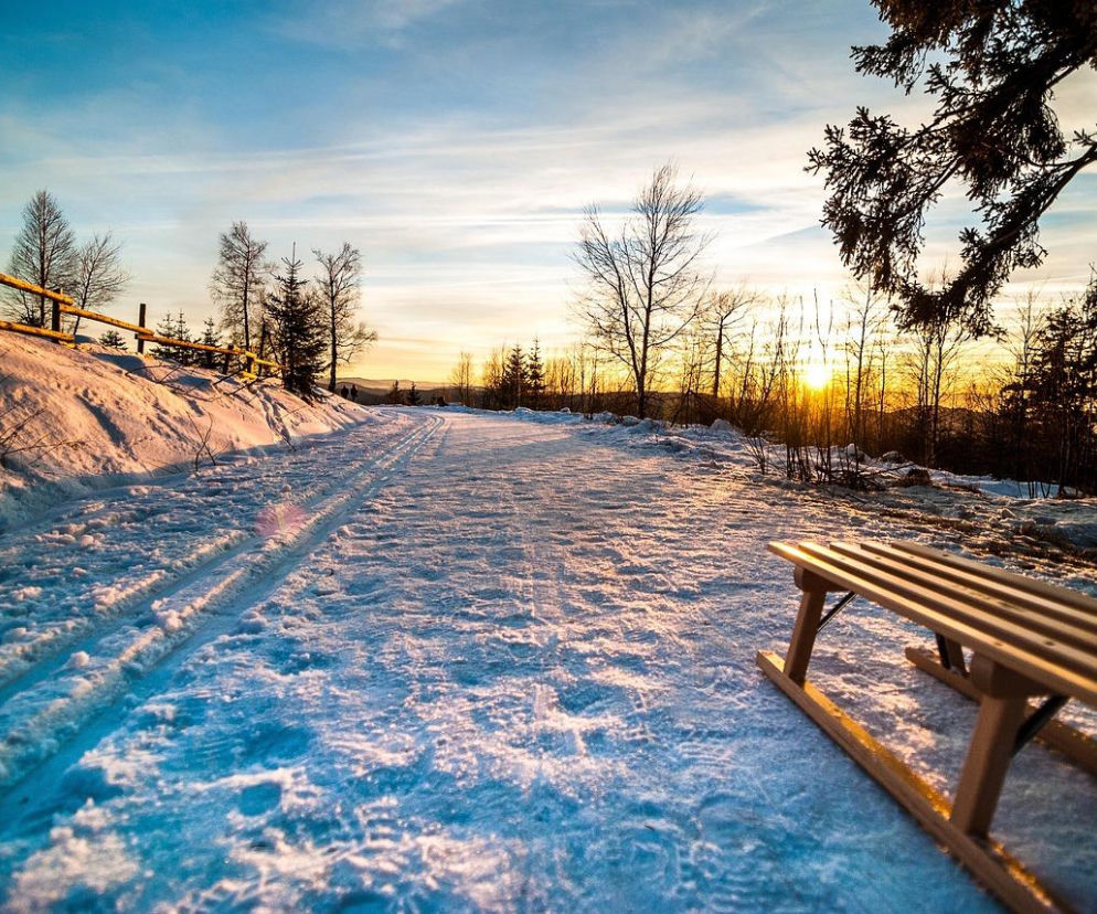 Wypadek podczas kuligu