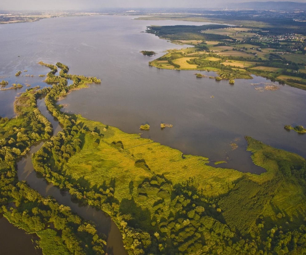 Na Śląsku powstanie nowa wyspa. Zostanie stworzona specjalnie dla... ptaków [ZDJĘCIA]