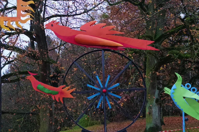 "Ogniste Ptaki" w Parku Kasprowicza w Szczecinie