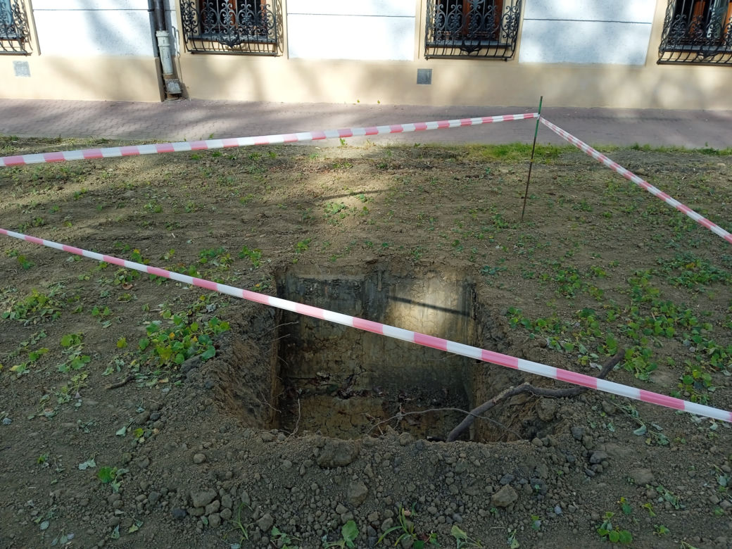 Nasadzenia drzew przy ulicy Piłsudskiego
