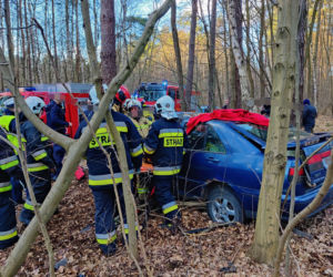 Makabra pod Płockiem! Seat mieszkańców Gostynina roztrzaskał się o drzewo [ZDJĘCIA]