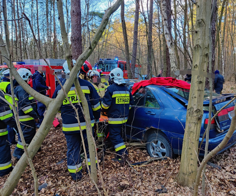 Makabra pod Płockiem! Seat mieszkańców Gostynina roztrzaskał się o drzewo [ZDJĘCIA]