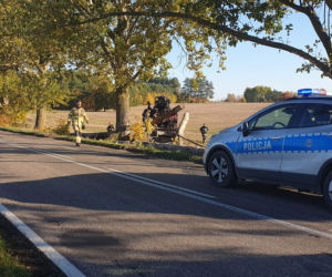 Olbrzymie kłody zablokowały drogę wojewódzką 163