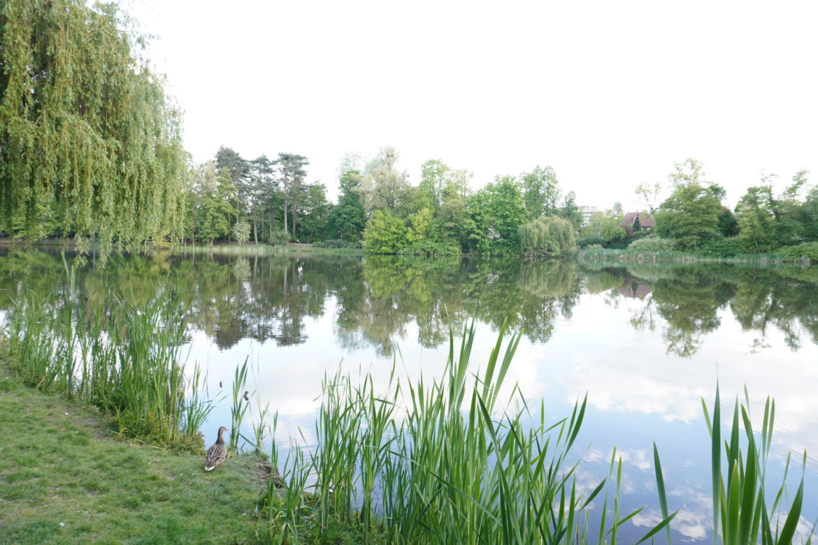 Park Sołacki 