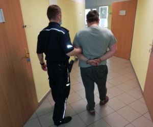 Uprawiał konopie indyjskie... w szafie. 33-latek zatrzymany przez policję