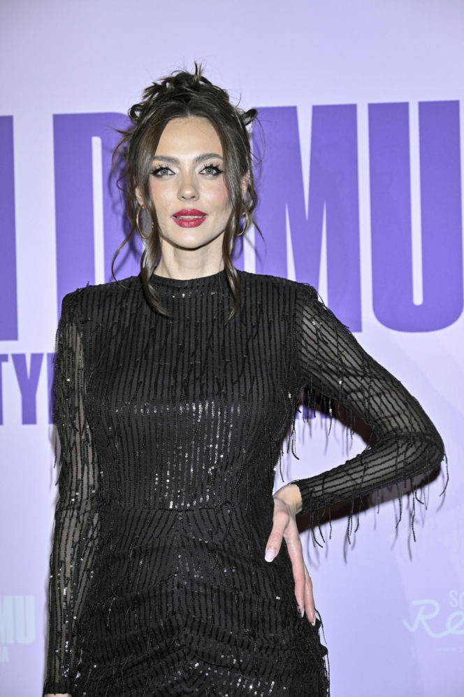 "Pani domu jest tylko jedna", gwiazdy na premierze