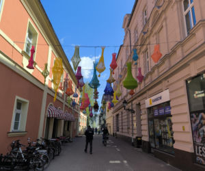 Nowe ozdoby na leszczyńskich ulicach. Wróblewskie w ferii barw.