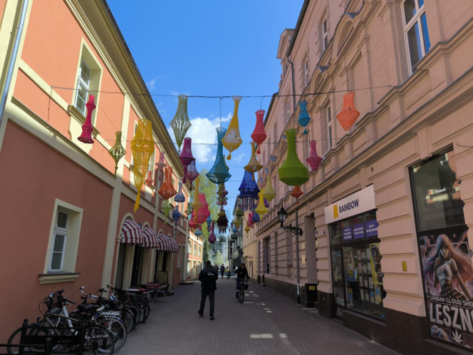 Nowe ozdoby na leszczyńskich ulicach. Wróblewskie w ferii barw.