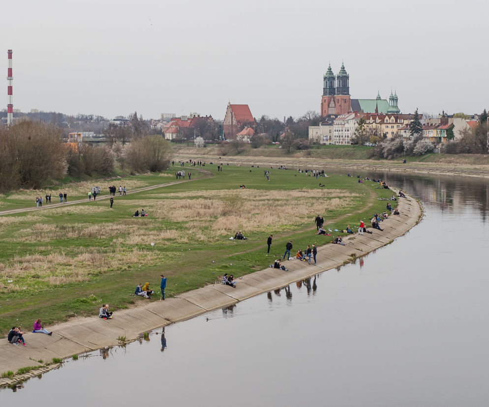 Wiosna nad Wartą