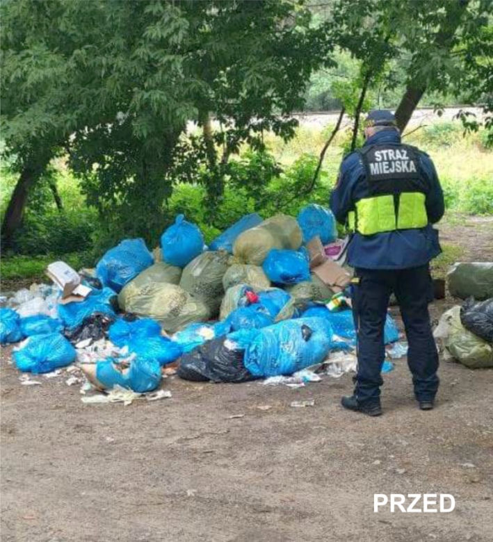 Podrzucili śmieci w krzaki. Spotkała ich najgorsza kara. Mandat to przy tym pikuś