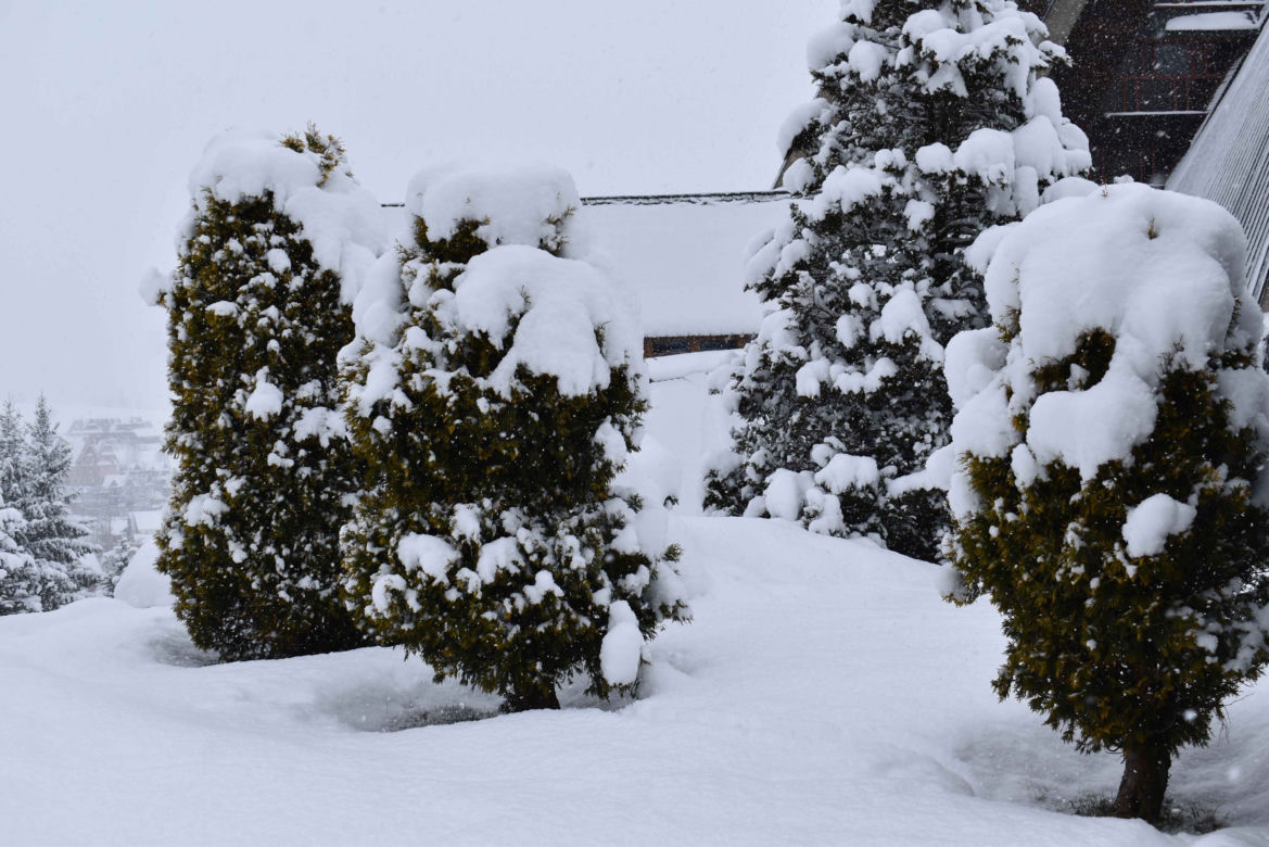 Na Podhalu sypnęło śniegiem!
