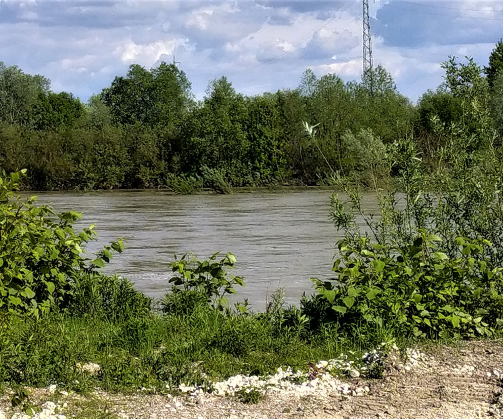 Dunajec