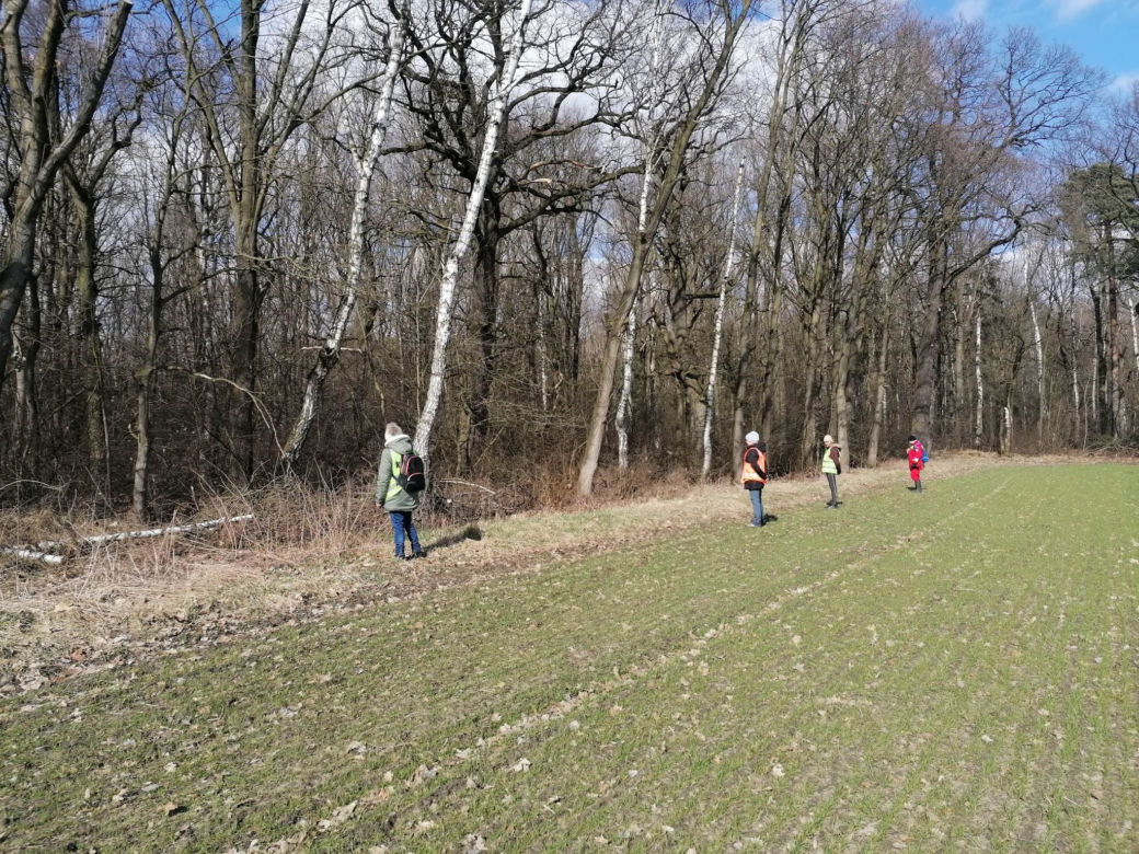 Poszukiwania zaginionego Dawida Szwalskiego z Rudy Śląskiej