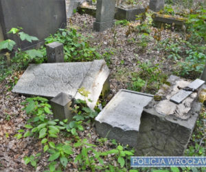 Na wrocławskim cmentarzu zdewastowano kilkadziesiąt nagrobków 