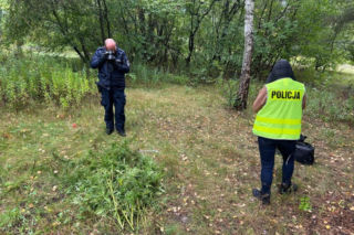 Dziecko z podstawówki założyło plantację marihuany?! Narkotyki miały trafić do szkół