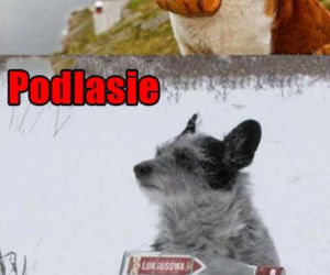 Najzabawniejsze memy o Podlasiu