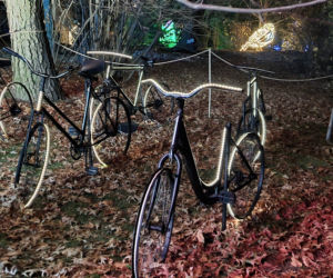 Ogród Botaniczny po zmroku zamienia się w magiczny ogród [GALERIA]