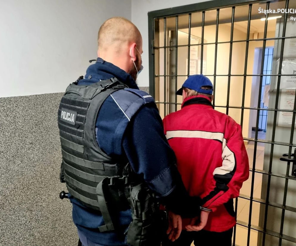  Zabił kota i wyrzucił do śmietnika. Szybko dopadła go sprawiedliwość 