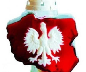 Hity na 1 listopada! Sami nie uwierzycie w to co zobaczycie!  
