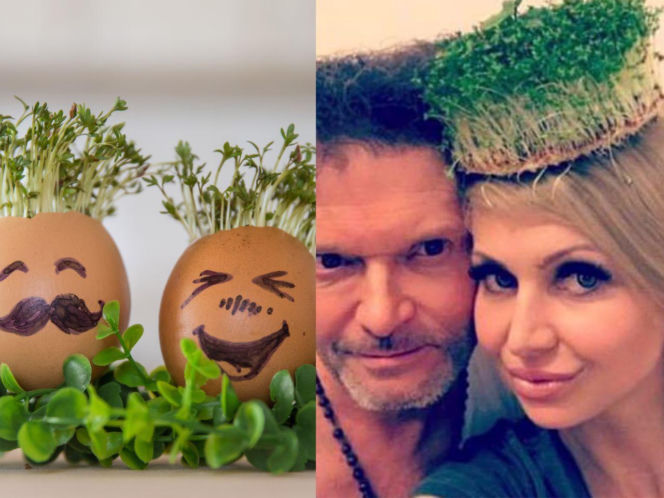 Rzeżuchy które wyglądają jak Krzysztof Rutkowski i jego legendarne fryzury