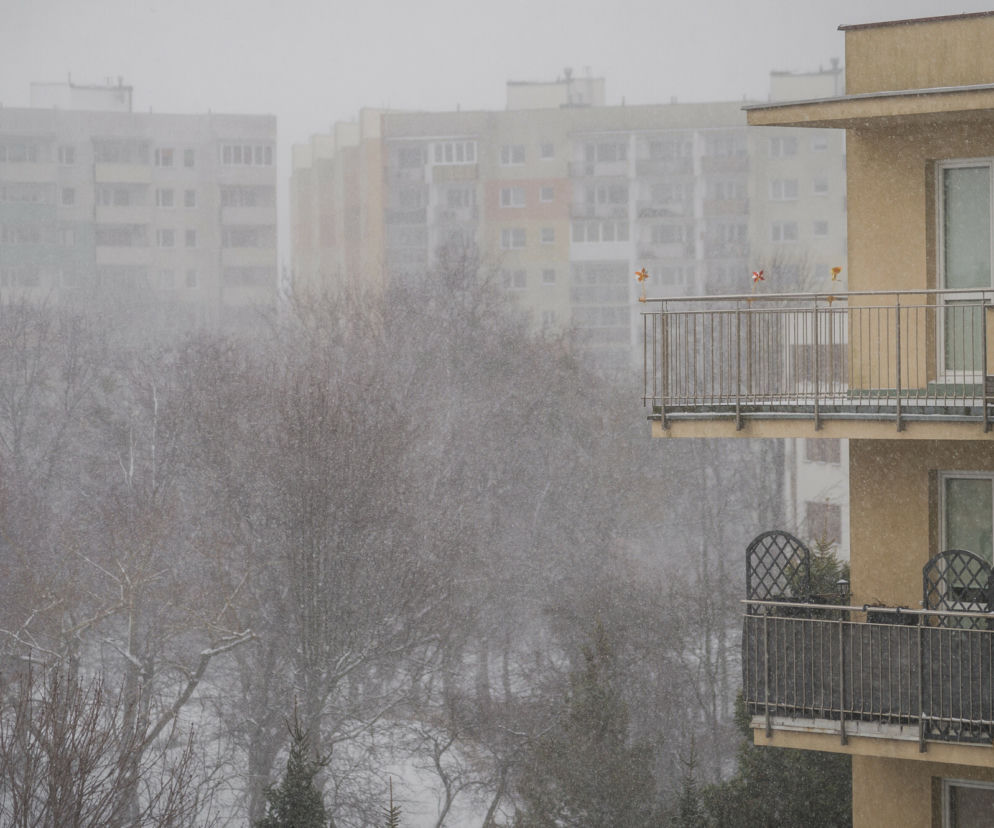 Śnieżyca w Polsce