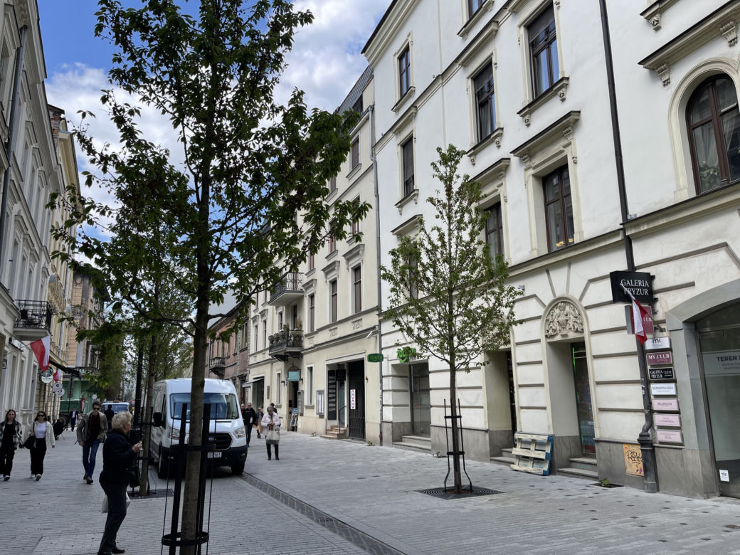 Zieleń w centrum miasta. Tak zmienia się ul. Krupnicza w Krakowie! 