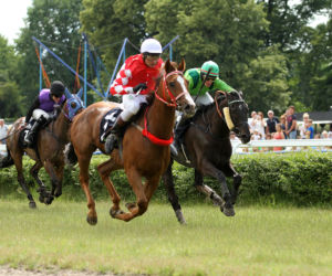 Ladies Day i Crystal Cup na Partynicach