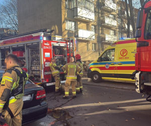 Pożar mieszkania na parterze. Strażacy z ognia wynieśli przerażonego kota