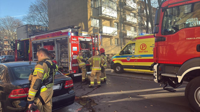 Pożar mieszkania na parterze. Strażacy z ognia wynieśli przerażonego kota