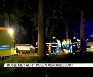 HOLANDIA. Wypadek busa z Polakami. W ZIJTAART bus uderzył w drzewo - 8 rannych