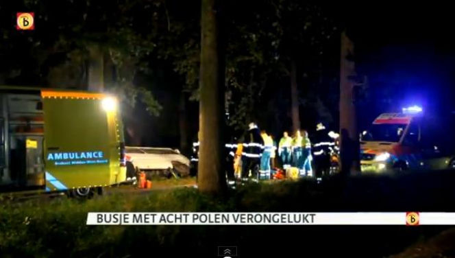 HOLANDIA. Wypadek busa z Polakami. W ZIJTAART bus uderzył w drzewo - 8 rannych