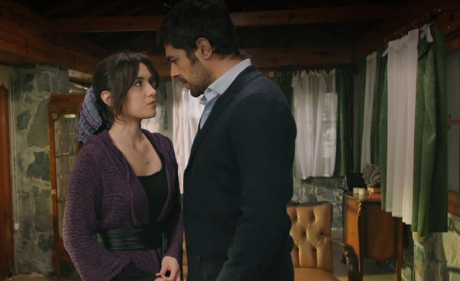 Wichrowe wzgórze odc. 354. Zeynep, Halil