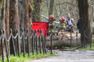 W miejskim parku zginęło dziecko i dwie kobiety. Policja pilnie apeluje do świadków