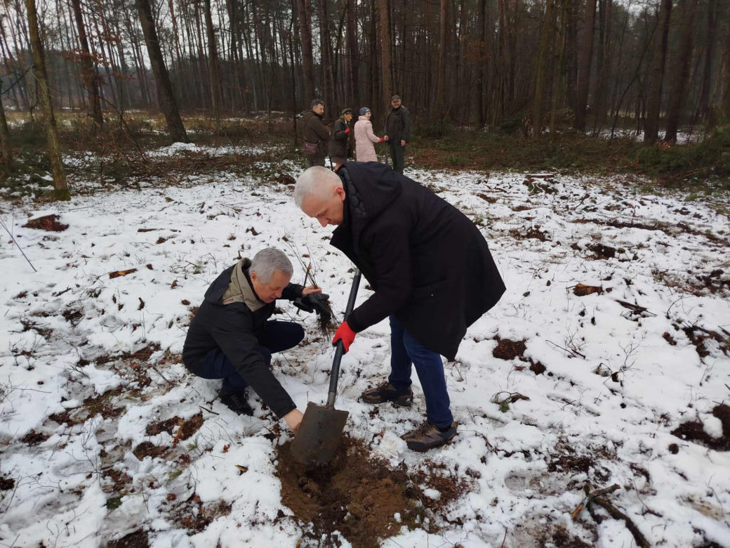 W akcji sadzenia lasu z okazji 80-lecia Nadleśnictwa Siedlce uczestniczyło ponad sto osób