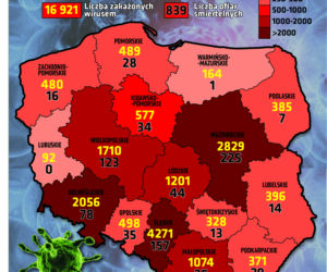 Koronawirus: Zobacz wykresy i prognozy – stan na 12.05 godz. 17.30