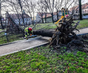Wichura na Dolnym Śląsku. Uszkodzone dachy, powalone drzewa. Ponad 300 interwencji straży