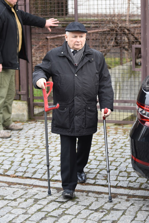 Fiona i Czaruś uzdrowią prezesa