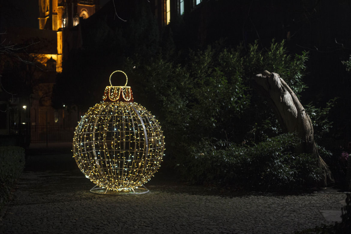 Lasery, muzyka i kolorowe iluminacje w Ogrodzie Botanicznym we Wrocławiu